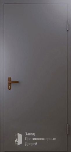 Фото двери «Техническая дверь №1 однопольная» в Кашире