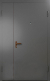 Фото двери «Техническая дверь №6 полуторная» в Кашире